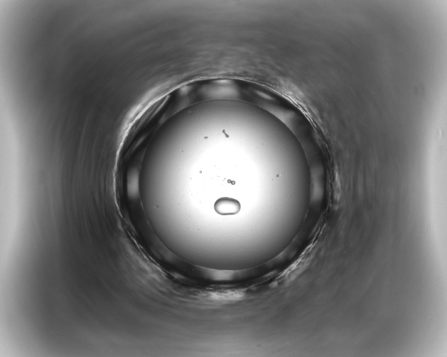 X0000087040340200705021141