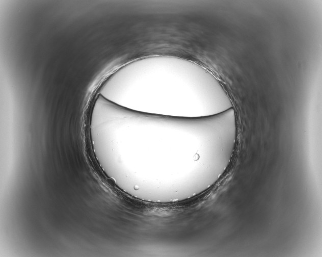 X0000087040341200705021141
