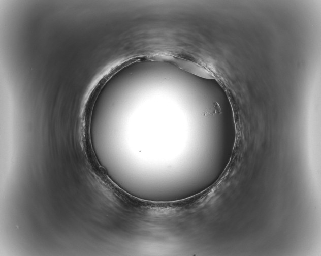 X0000087040342200705021141