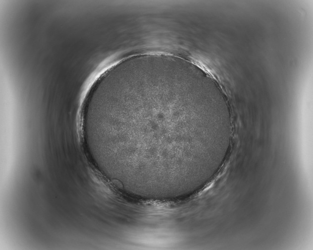 X0000087040343200705021141