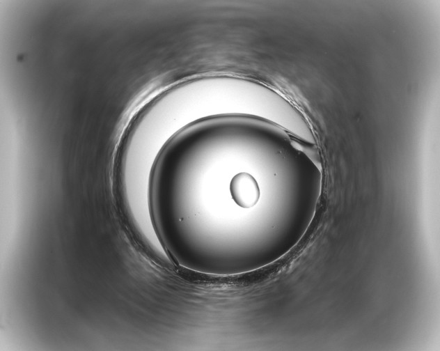 X0000087040344200705021141