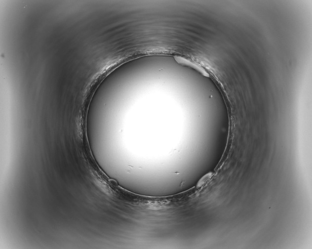 X0000087040345200705021141