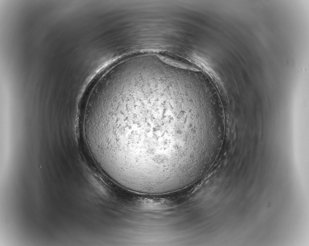X0000087040346200705021141