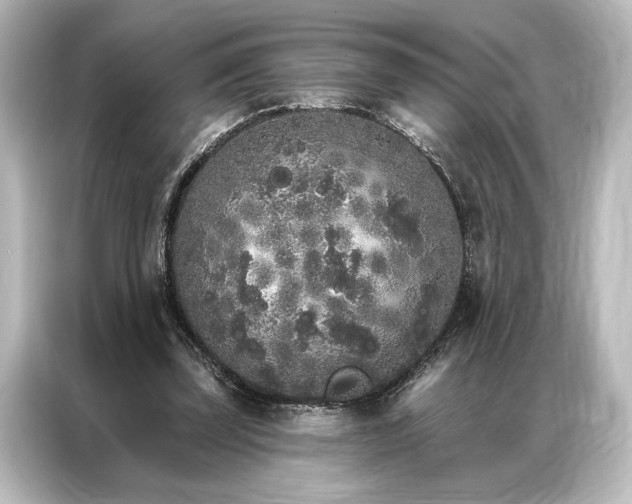 X0000087040347200705021141