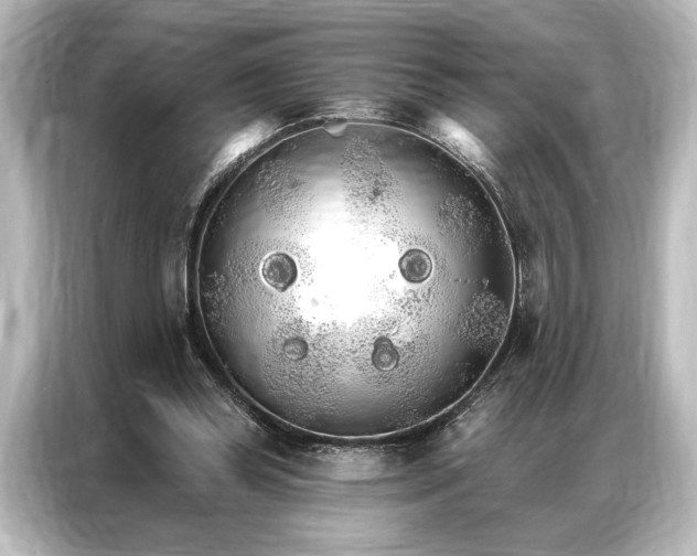 X0000087040349200705021141