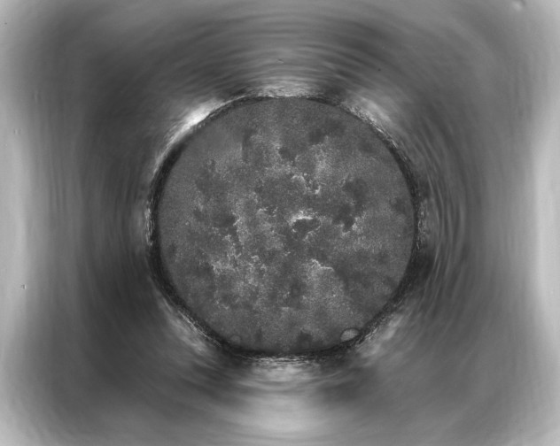 X0000087040351200705021141