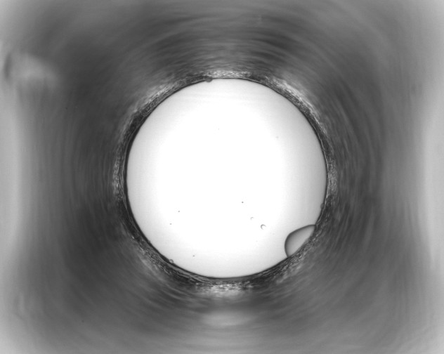 X0000087040353200705021141