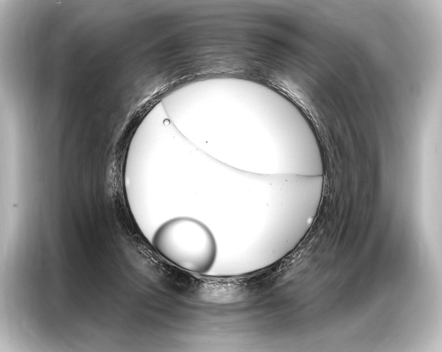 X0000087040354200705021141