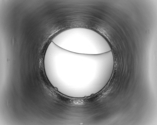 X0000087040355200705021141