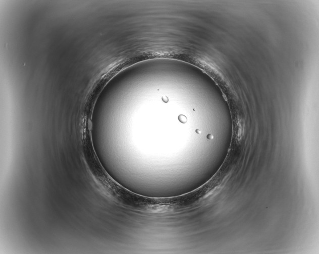 X0000087040356200705021141