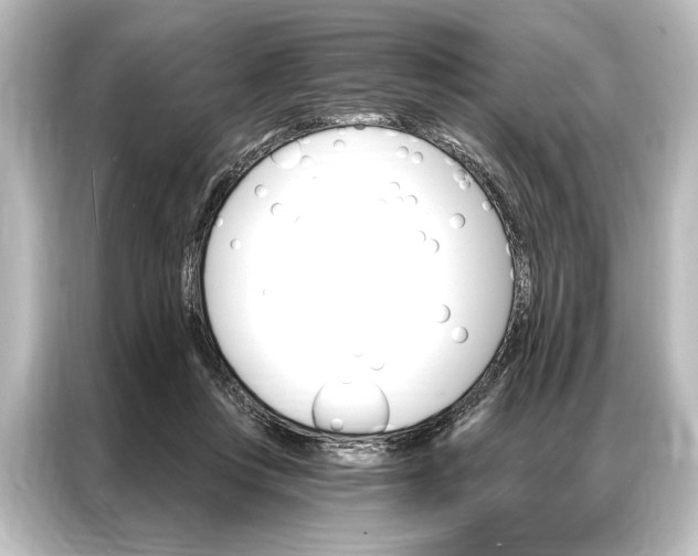X0000087040359200705021141