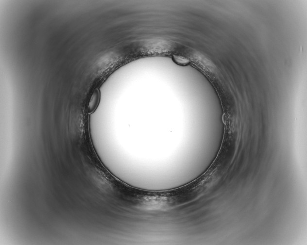 X0000087040362200705021141
