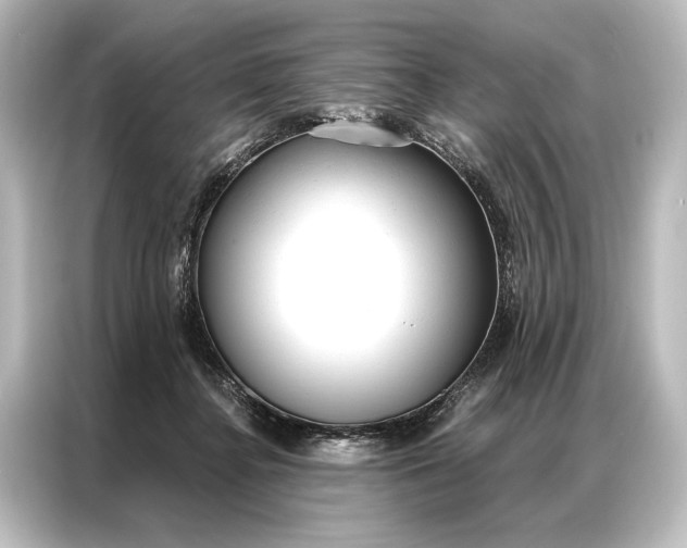 X0000087040364200705021141