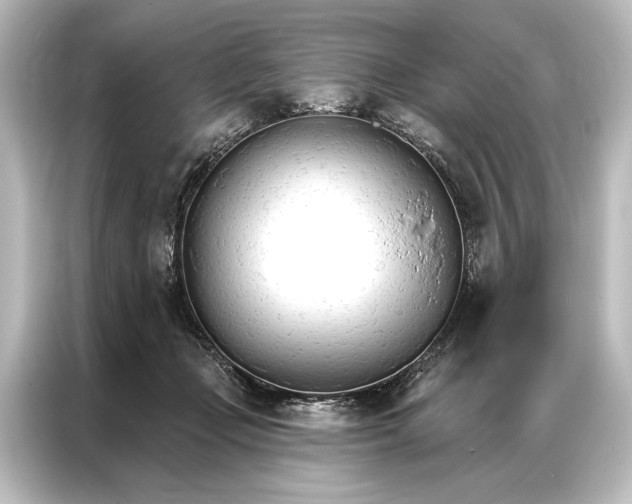 X0000087040365200705021141