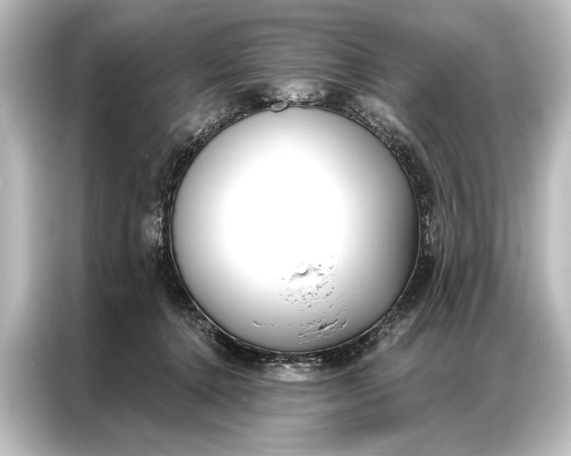 X0000087040368200705021141