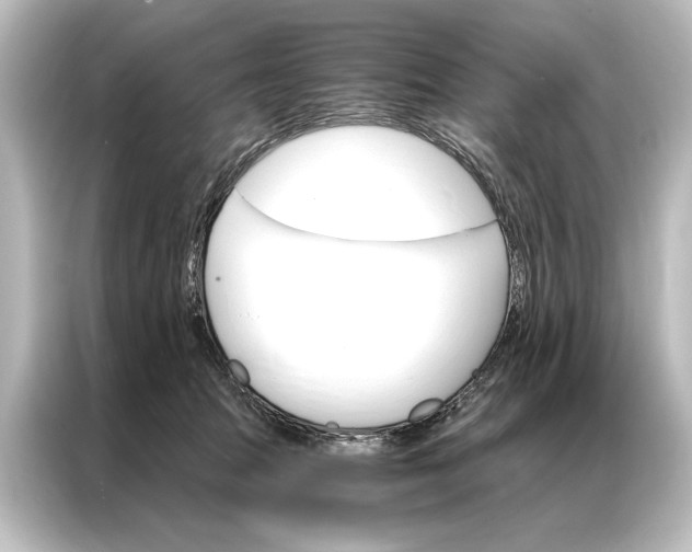 X0000087040369200705021141