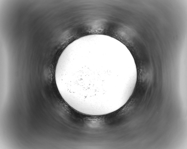 X0000087040370200705021141