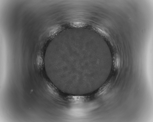 X0000087040371200705021141
