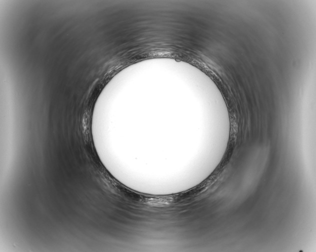 X0000087040373200705021141