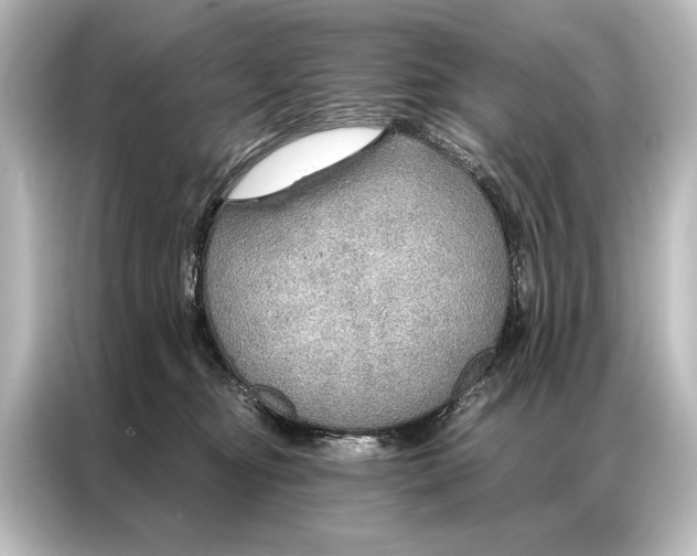 X0000087040374200705021141