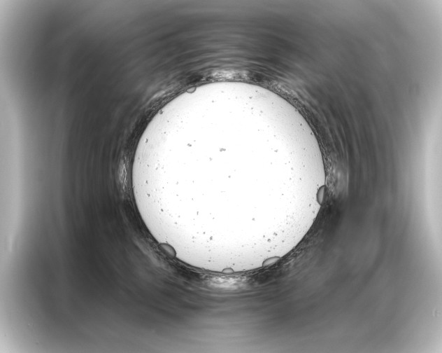 X0000087040375200705021141