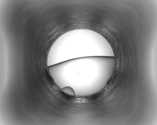 X0000087040376200705021141