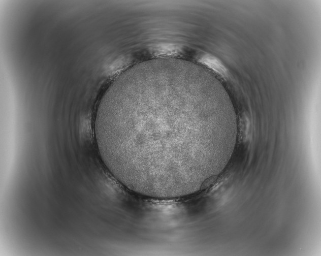 X0000087040377200705021141