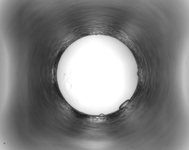 X0000087040378200705021141