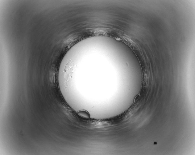 X0000087040379200705021141