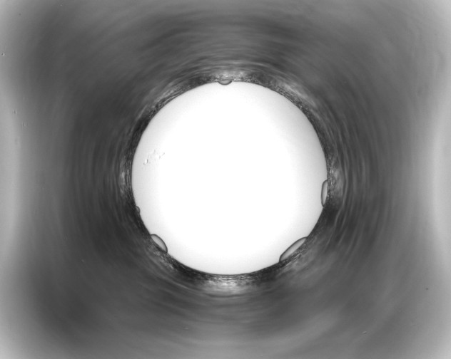 X0000087040381200705021141
