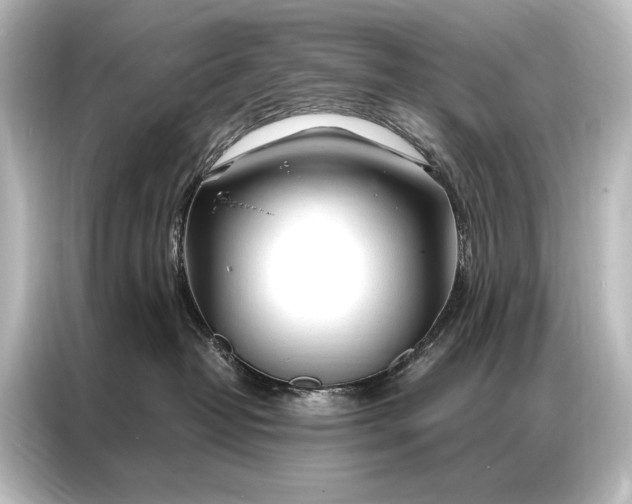 X0000087040382200705021141