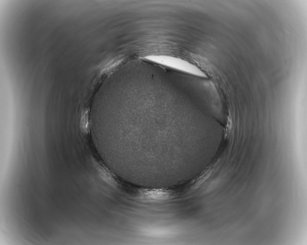 X0000087040383200705021141
