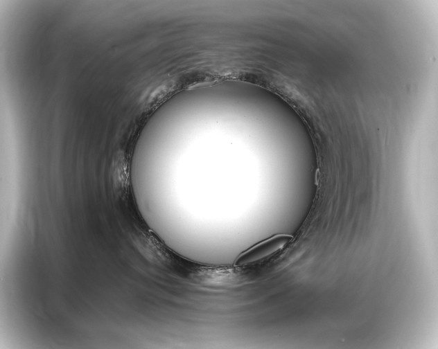 X0000087040384200705021141