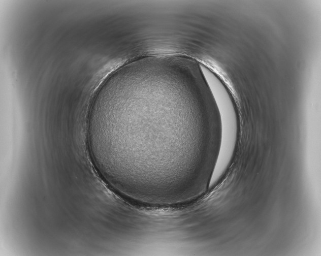 X0000087040385200705021141