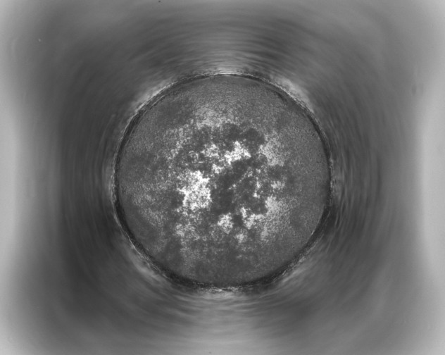 X0000087040386200705021141