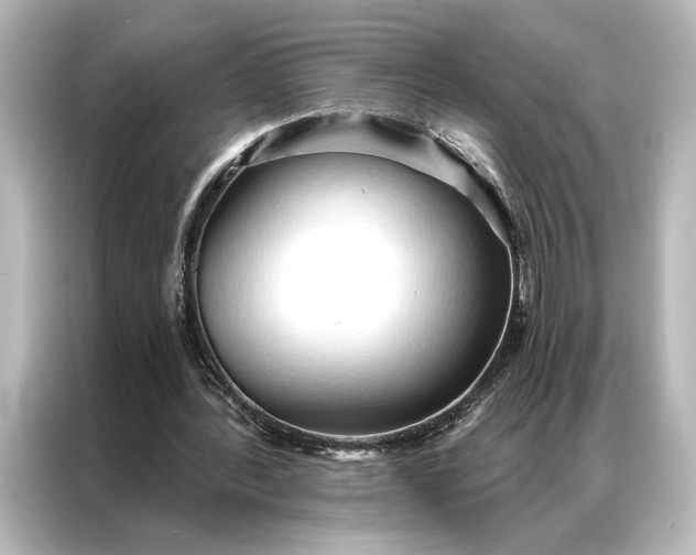 X0000087040388200705021141