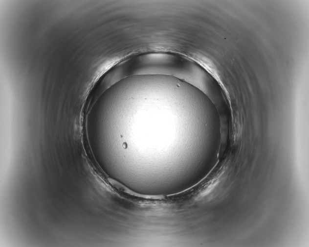 X0000087040389200705021141