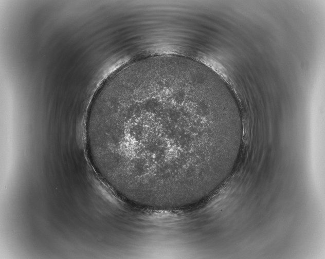 X0000087040390200705021141
