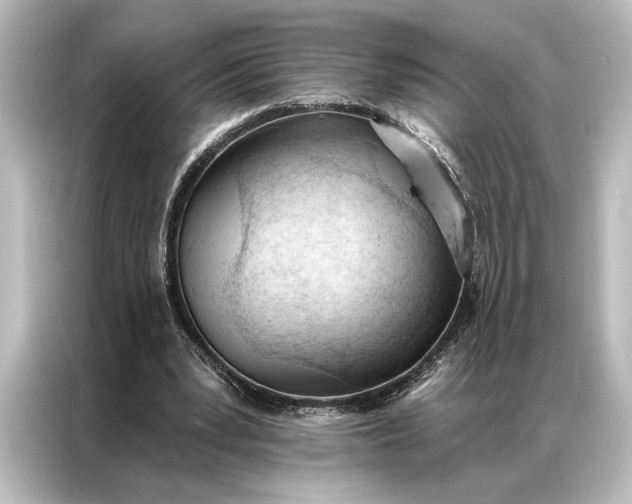 X0000087040391200705021141