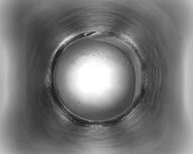 X0000087040392200705021141