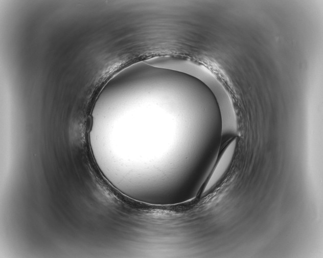 X0000087040393200705021141