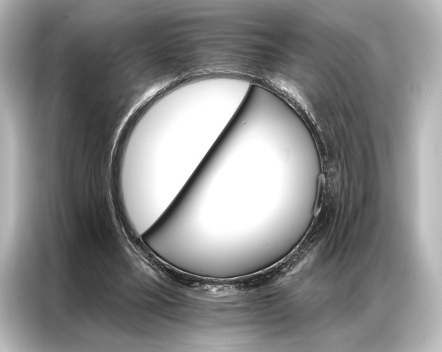 X0000087040395200705021141
