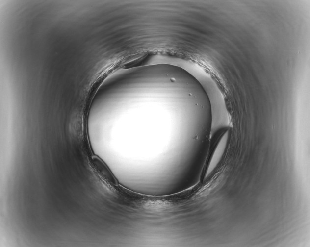 X0000087040397200705021141