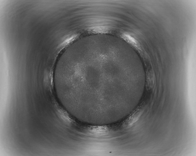 X0000087040398200705021141