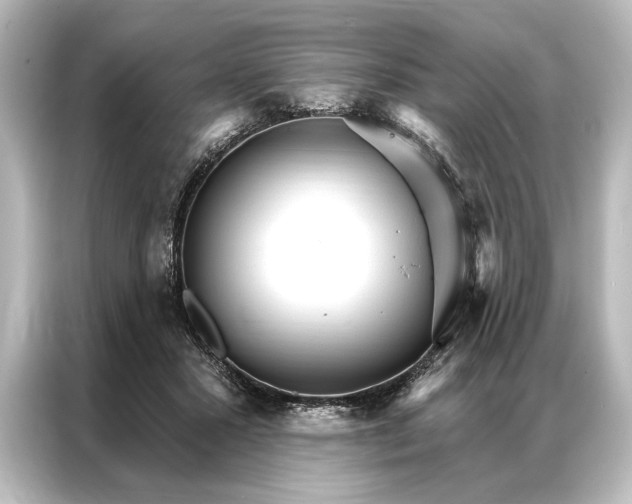 X0000087040407200705021140