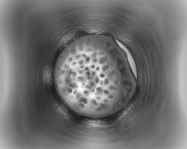 X0000087040408200705021140