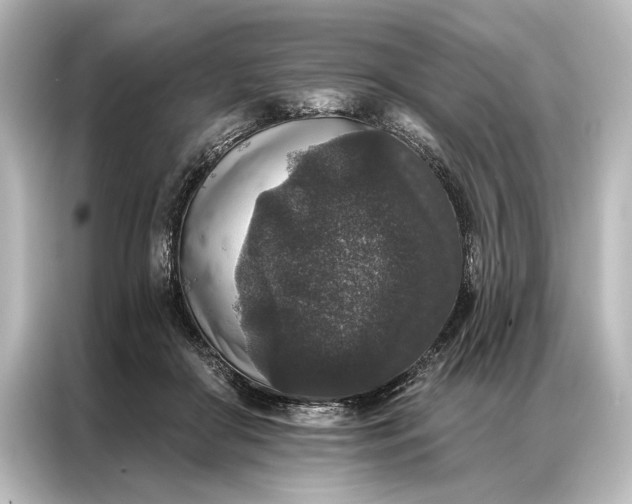 X0000087040410200705021140