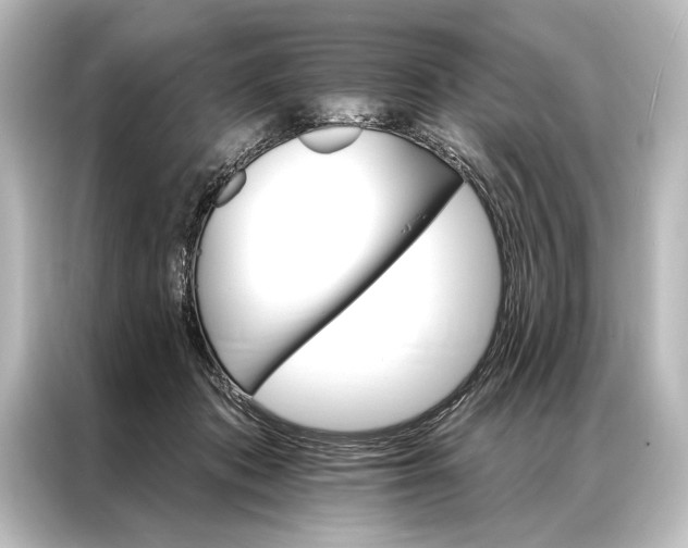 X0000087040413200705021140