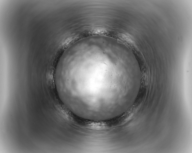 X0000087040415200705021140