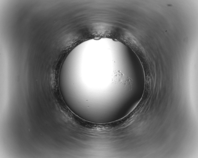 X0000087040416200705021140